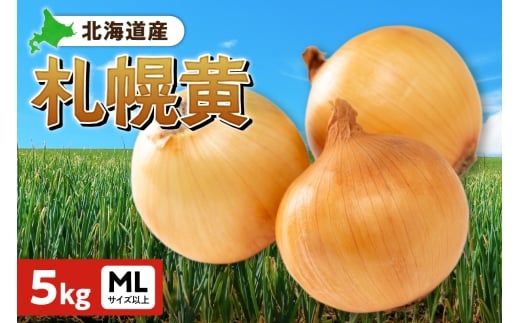 札幌黄 玉ねぎ 北海道産 5kg MLサイズ以上