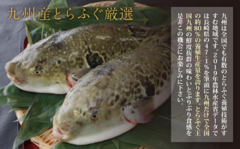 本場とらふぐ刺し・ふぐ鍋セット（8～10人前）ふぐ皮刺し ポン酢・薬味付