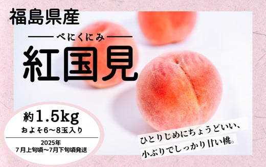 
            ◆2025年夏発送◆ 紅国見 ～産直・桃・約1.5kg～　※離島への配送不可　※2025年7月上旬～7月下旬頃に順次発送予定
          