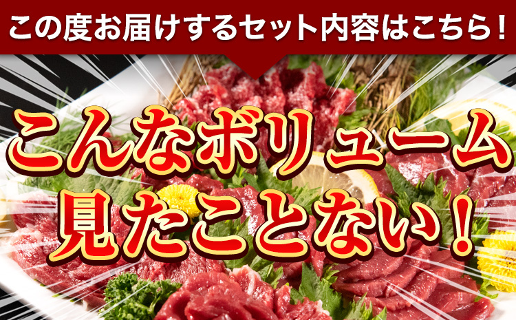 厳選3種盛り馬刺しセット 計1100g《8月中旬-9月末頃出荷》 赤身馬刺し 霜降り馬刺し  タレ付き(5ml×22袋)---fn_fjsgenba_bc8_23_20000_1100g---st-p
