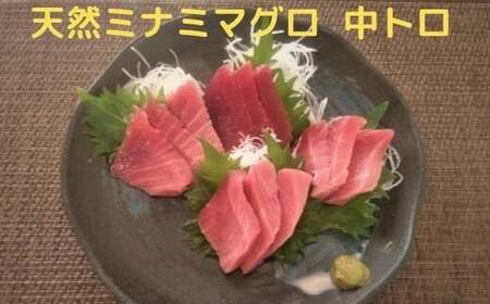 天然 南 鮪 （マグロ） 中トロ 800g 入り セット (a25-020)