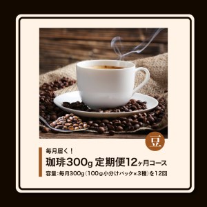 コーヒー300g 定期便12ヶ月コース 豆コース_定期便 12ヶ月 コーヒー 豆 各 100g 3種 合計 300g 小分け パック 飲み比べ 毎月 世界の生産地別のコーヒーが届く 産地 銘柄 発送時