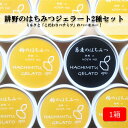 【ふるさと納税】ミルクと「こだわりハチミツ」のハーモニー！国産純粋はちみつ「耕野のはちみつ」ジェラート2種8個セット（2種×4個） アイス ジェラート ひんやり 夏にピッタリ 宮城 丸森 スイーツ 送料無料