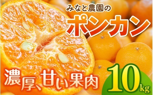 
                  【数量限定】みなと農園のポンカン 約10kg 【2027年2月上旬頃〜順次発送】みかん ミカン 柑橘 フルーツ 果物 くだもの 甘い 旬 人気 果汁 濃厚 ジューシー デザート 産地直送 農家直送 みかん 国産 お取り寄せ 新鮮 期間限定 季節限定 先行予約 おすすめ 三重県 熊野市【mntf0012】
                