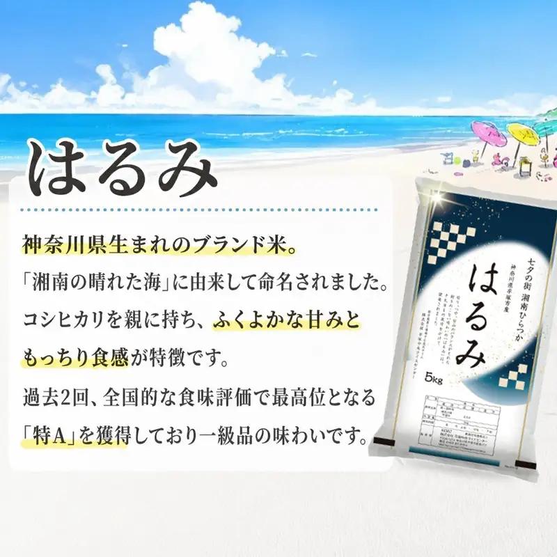【 定期便3か月 】 精米 令和7年産 はるみ 5kg 特Aランク 米
