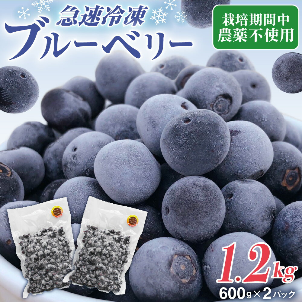 【ふるさと納税】【2026年7月より順次発送】栽培期間中農薬不使用！急速冷凍ブルーベリー 1.2kg 【JAほたるの里】_HA1517 送料無料 果物 フルーツ 朝食 ヨーグルト スムージー 目にいい 美味しい おやつ ふるさと 納税 果物 フルーツ