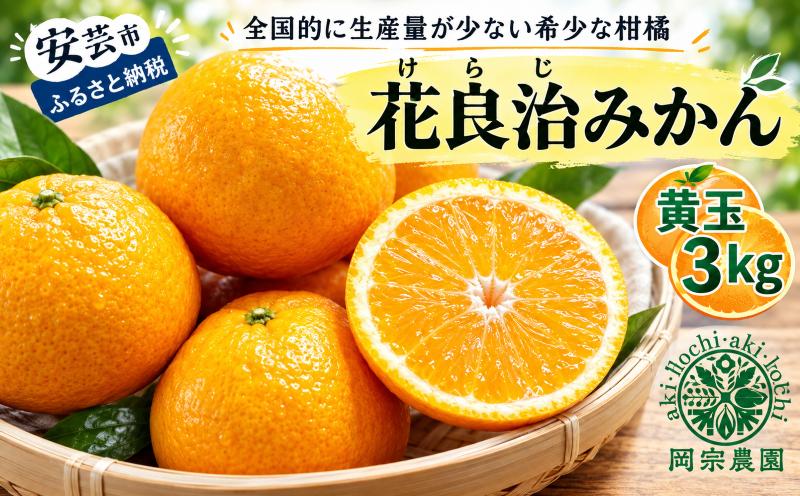 
                  みかん 黄玉 3kg フルーツ 果物 季節限定 旬 柑橘 先行予約 柑橘類 家庭用 自宅用 ギフト プレゼント 贈答 贈答用 花良治みかん けらじみかん オレンジ デザート スイーツ ゼリー ジャム ケーキ メリーガーデン 高知県産 先行予約 令和8年産 先行予約柑橘類 独特 爽やかな香り 素朴な甘さ 希少 柑橘 薬味 料理 アレンジ 12月上旬 2月下旬 お届け 皮の香り 安芸市 高知県
                