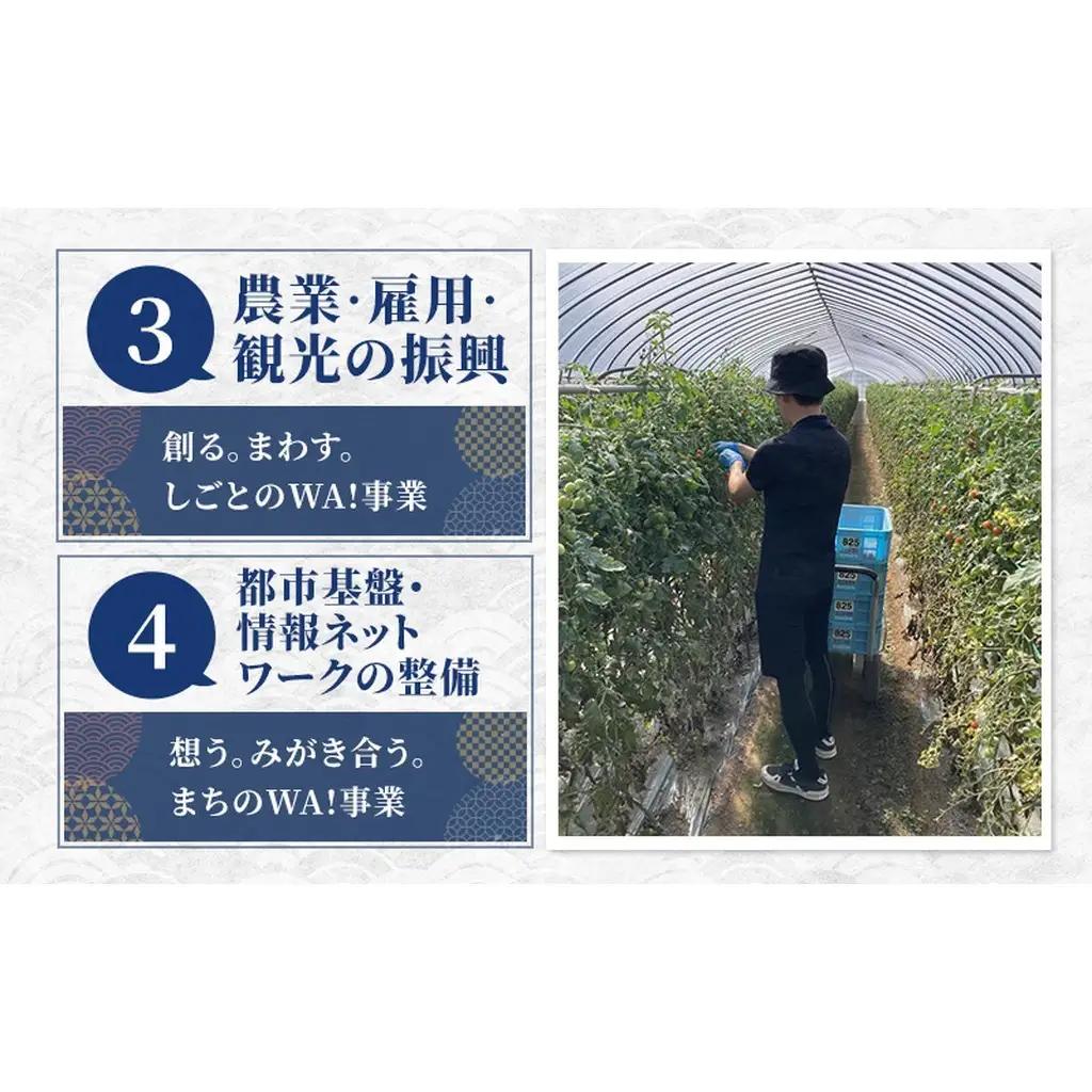 北海道 富良野市 寄附のみの応援受付 65,000円コース（返礼品なし 寄附のみ 65000円）