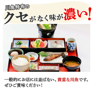 【四万十の幸 あめご】700g (16cm前後×12～14匹) 使いやすい小ぶりサイズ Eay-02 あめご 小魚 川魚