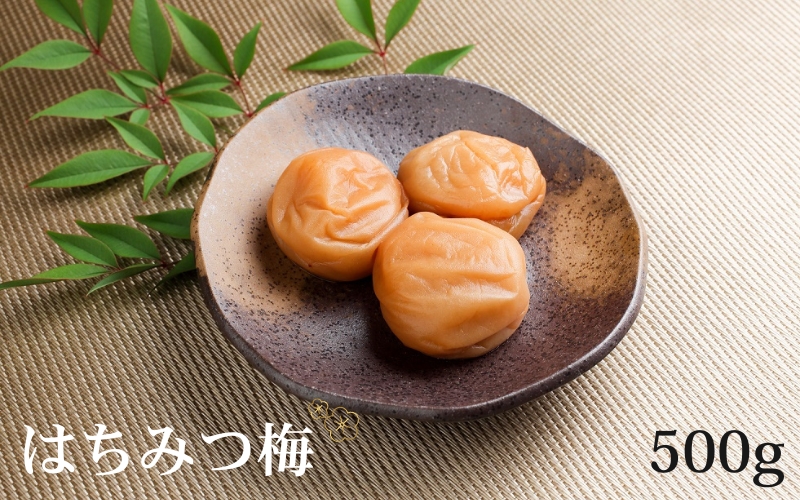 はちみつ入り梅 500g　塩分 7%　tkdkaen004A