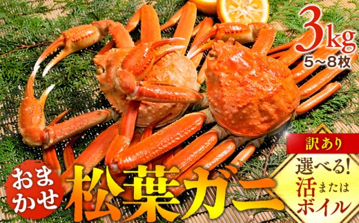 
                  【選べます！活またはボイル】訳あり 松葉ガニおまかせ3kg（5～8枚）※2026年11月上旬～2027年3月下旬頃に順次発送予定※着日指定不可 ｜ 蟹 かに 松葉ガニ 松葉蟹 訳あり 家庭用 鳥取県産 北栄町 おすすめ 人気
                