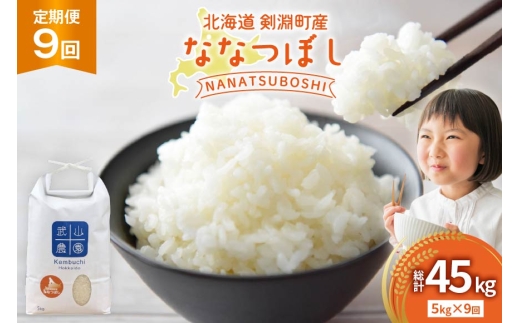 米 令和8年 9回 定期 ななつぼし 5kg  [武山農園 北海道剣淵町 14656440 ] 令和8年産 白米 精米 新米 ご飯 ごはん コメ こめ 国産 10キロ 定期