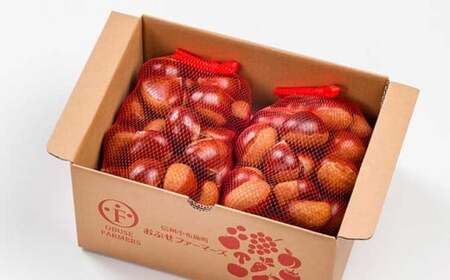 先行受付 無くん蒸小布施栗 約1kg ［おぶせファーマーズ］ 令和8年産 【2026年9月中旬～11月上旬発送】 ［F-33］