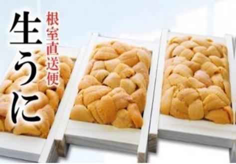 ＜12月17日決済分まで年内配送＞エゾバフンウニ70g×3折[11月中旬以降発送] F-71003