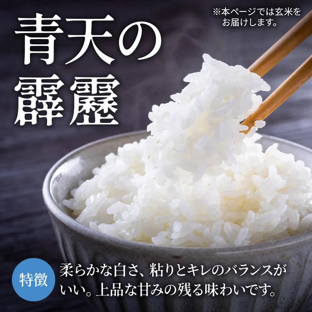 米 青天の霹靂 白米 20kg（5kg×4袋）令和7年産 青森県弘前市産