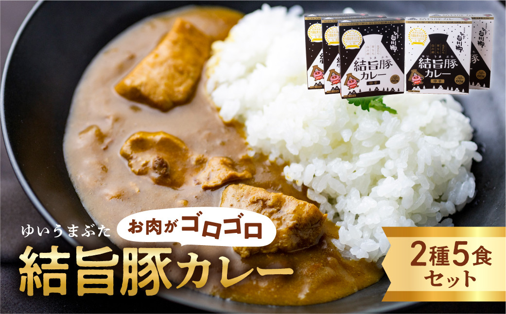 
白川郷 結旨豚カレー 5食セット 中辛 レトルト カレー 豚肉 ポークカレー もも肉 バラ肉 食べ比べ セット ゆいうまぶた ブランド豚 吉野ジーピーファーム 国産豚 白川村 10,000円 1万円 [S417]
