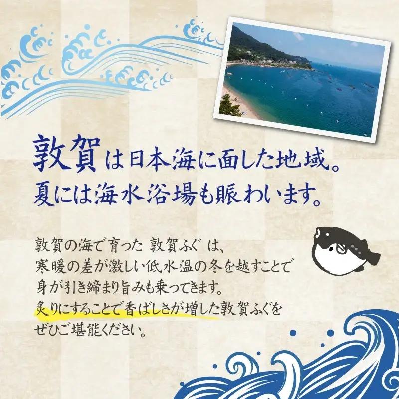 ＜先行予約＞【11月発送】フグ 敦賀ふぐ鍋たたきセット（2～3人用） 【ふぐのたたき 冷蔵 海鮮 鍋 なべ 河豚】