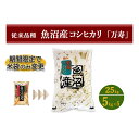 【ふるさと納税】数量限定 従来品種 魚沼産コシヒカリ 精米 5kg×5　 お米 米 コメ コシヒカリ 魚沼産 　お届け：準備でき次第、順次発送