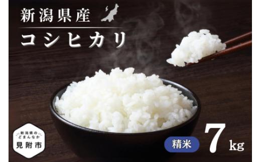令和7年産 新潟県産 コシヒカリ 7kg 精米 米 お米 白米 コシヒカリ こしひかり おすすめ 人気 こめ コメ 新潟 見附 見附市 7年 2025年産 ふるさと納税 諸長