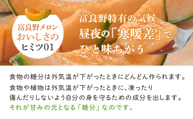 【2026年7月中旬～発送】※訳あり※ 富良野 メロン 約4kg〈2玉～4玉入り〉北海道 富良野市(スイートベジタブルファクトリー) メロン フルーツ 果物 新鮮 甘い 贈り物 ギフト 道産 ジューシ