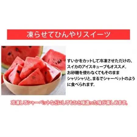 大玉すいか 秀品 1玉(約6kg～9kg)【2027年5月下旬より順次発送予定】【1586101】