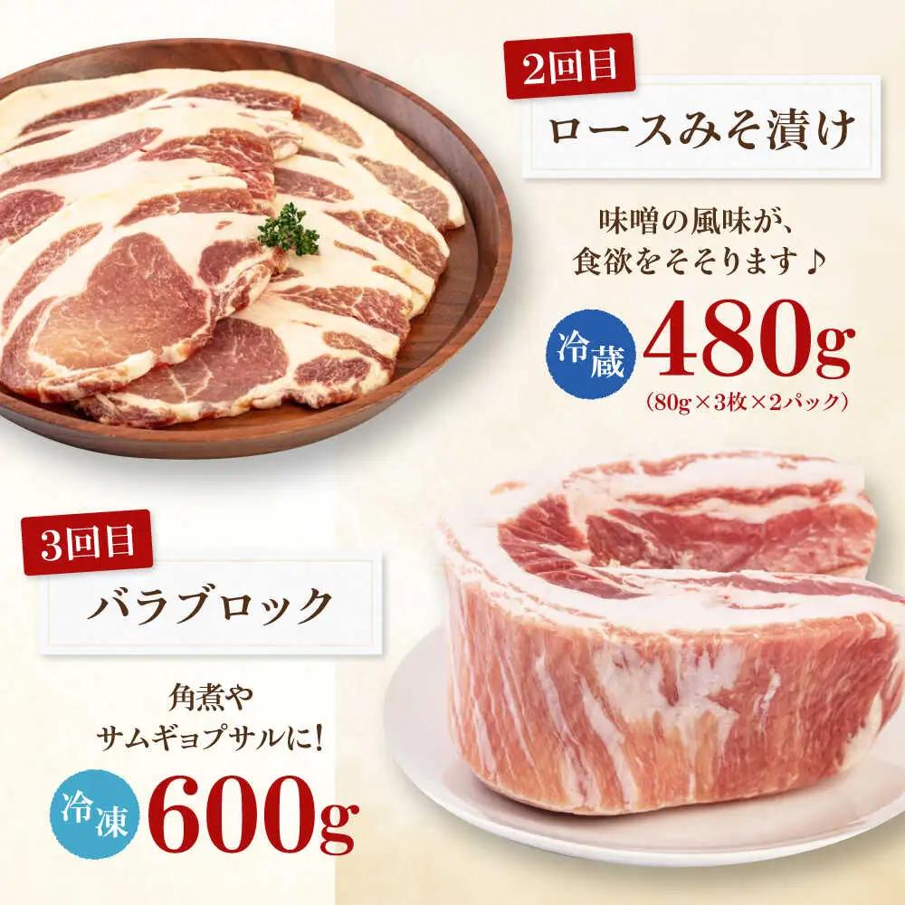 【全5回定期便】平田牧場 バラエティ定期便 2~3人前  豚肉 ロース バラ肉 ステーキ [AJAP126]