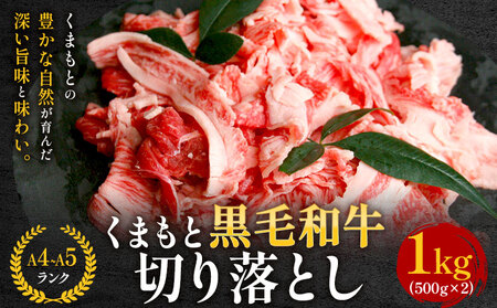  【A4～A5】くまもと黒毛和牛 切り落とし 1kg 《30日以内に出荷予定(土日祝除く)》 牛肉 くまもと黒毛和牛 黒毛和牛 冷凍庫 切り落とし