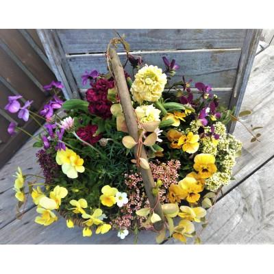 ふるさと納税 上郡町 お花一杯バスケット寄せ植えLサイズ(35cm程度)季節の寄せ植え |  | 02