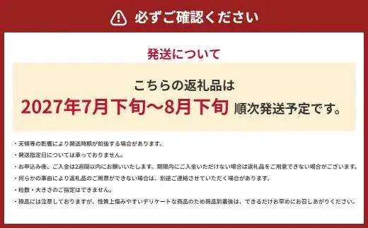 シャインマスカット ぶどう 4パック 約1.2kg マスカット ブドウ 葡萄 高級ぶどう 高級 果物 くだもの フルーツ 果実 甘み 皮ごと 国産 熊本県産 冷蔵 【 2027年7月下旬～8月下旬発送