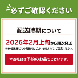 【予約:2026年2月上旬から順次発送】【選べる3サイズ】宇野さんの手拾い、手選別の越冬ジャガイモ 10kg ( 芋 野菜 選べる )【167-0004-2026】