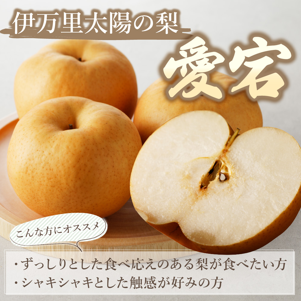 【令和7年産先行予約】伊万里梨 「愛宕」 約5kg 大型種 B164