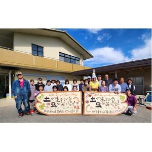 ジャムセット【1464564】