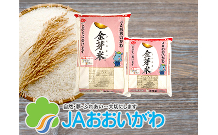 静岡県産　JAおおいがわ金芽米5kg（無洗米）【配送不可：北海道・沖縄・離島】