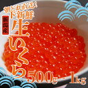 【ふるさと納税】 生いくら 500g 1kg 選べる容量 いくら 魚卵 鮭 さけ サーモン とろける お正月 おせち 海鮮 旬 海鮮丼 いくら丼 丼 贅沢 プレミアム 新鮮 鮮度 こだわり 国産 新潟産 500g 1kg 新潟県 新発田市