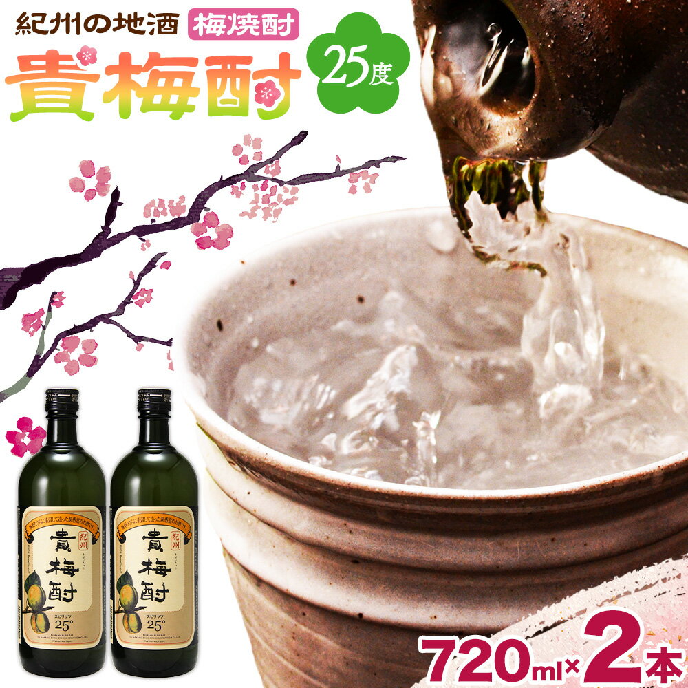 【ふるさと納税】紀州の地酒 貴梅酎 きばいちゅう 25度 720ml×2本 エバグリーン 中野BC株式会社《30日以内に出荷予定(土日祝除く)》和歌山県 岩出市 酒 お酒 地酒 梅焼酎