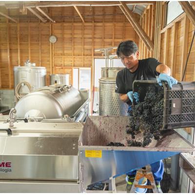 ふるさと納税 北栄町 辛口赤ワイン『富士の夢2016郷』【化粧箱入り】 |  | 02