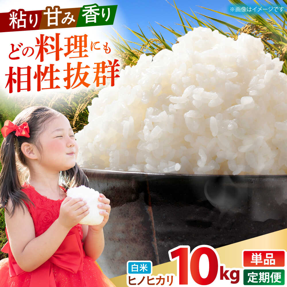 【ふるさと納税】令和7年産 ヒノヒカリ 白米 10kg 【有限会社江北商会】[HDK001] 精米 米 おこめ コメ 白米 はくまい お米 精米 白ご飯 ひのひかり 国産 佐賀県 江北町 送料無料 10キロ
