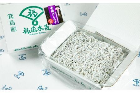 釜揚げしらす1kg【福扇水産】(B480-1)