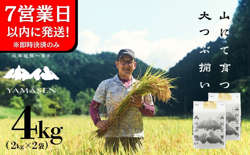 
            即納【令和7年産米】すがたらいす 山仙 (いのちの壱) 2kg×2袋 すがたらいす 下呂市金山産 4キロ  米 2025年産 お米 精米 米 いのちのいち やません
          