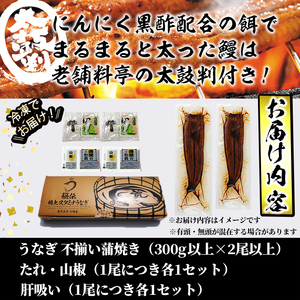 【訳あり】鹿児島県産！秘伝のスタミナうなぎ蒲焼き＜計300g以上/2尾以上＞肝吸いセット！ にんにく黒酢パワーで丸々太った美味しい鰻！ うなぎ ウナギ 鰻 蒲焼き スタミナ 黒酢 ニンニク 不揃い 鹿