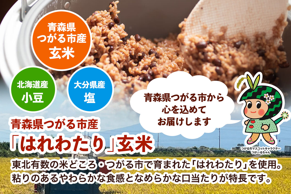 青森県産玄米 藤農園の美食米 発芽酵素玄米ごはん (1食125g×6パック 計750g)｜青森県産 国産 つがる市 藤農園 玄米 米 お米 はれわたり 発芽玄米 玄米ごはん パックごはん レトルトごはん ごはん ご飯 レンジ調理 電子レンジ 簡単 時短 常温保存 小分け 農福連携 ふるさと納税 [1064]