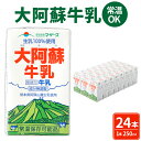 【ふるさと納税】大阿蘇牛乳 250ml×24本 1ケース 牛乳 成分無調整牛乳 生乳100%使用 乳飲料 乳性飲料 ドリンク 飲み物 飲料 セット 紙パック 常温保存可能 ロングライフ 九州 熊本県 送料無料