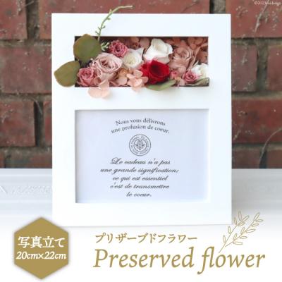 ふるさと納税 宝達志水町 プリザーブドフラワー 写真立て ( 白 ) 20×22×14cm [宝達志水町 38600587]