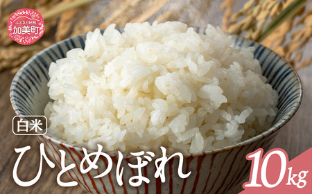 白米 10kg 白米 白米 白米