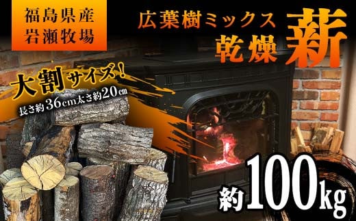 
            大割サイズ！福島県産「乾燥薪」100kg 薪ストーブ キャンプ アウトドア 焚火 焚き火 暖炉 F6Q-225
          