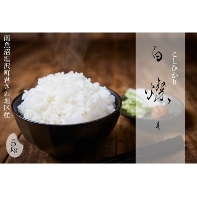 ふるさと納税 南魚沼市 【令和7年産新米】南魚沼君沢産こしひかり　白燦々5kg【白米】(従来品種)