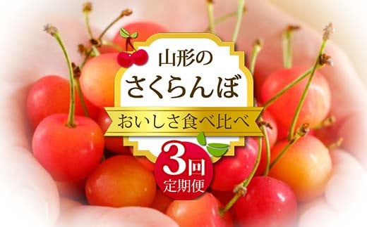 
            《2025年 先行予約》数量限定 おいしさ食べ比べ 山形のさくらんぼ定期便 3回定期便 果物 フルーツ FSY-2046
          