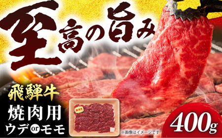 飛騨牛 うまさ広がる赤身焼肉用 ウデ又はモモ400g （冷凍） 牛肉 肉 ブランド肉 岐阜市 / 羊Diningひとみしり[ANIF002]