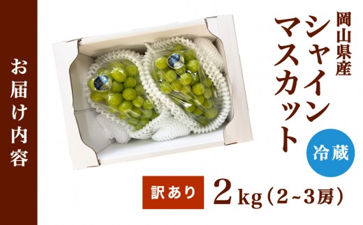 【訳あり】2026年9月発送 岡山県産 シャインマスカット 2kg