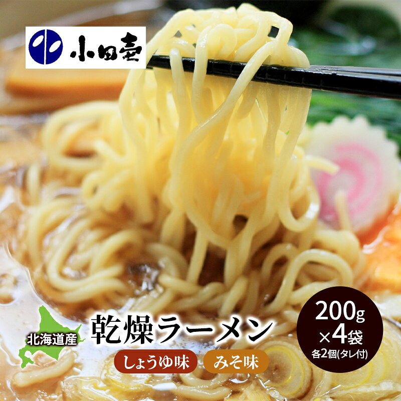 【ふるさと納税】北海道産小麦 乾燥ラーメン本格派200g×4 タレ付き 麺類 味噌 みそ 醤油 しょうゆ セット 詰め合わせ